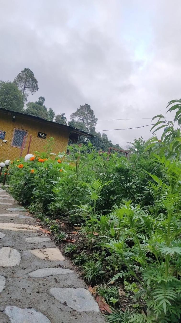 Krishna Kutir, Talla Ramgarh By The Meditating Society Екстер'єр фото